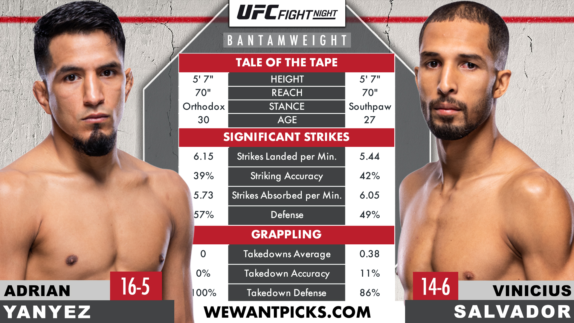 YANEZ VS SALVADOR