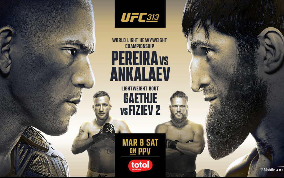 Price Point Picks: UFC 313