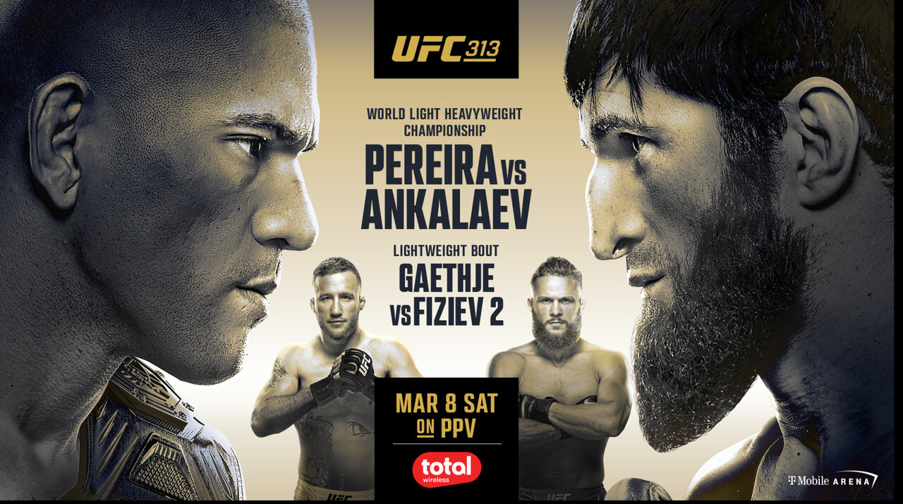 UFC 313 Fight Poster