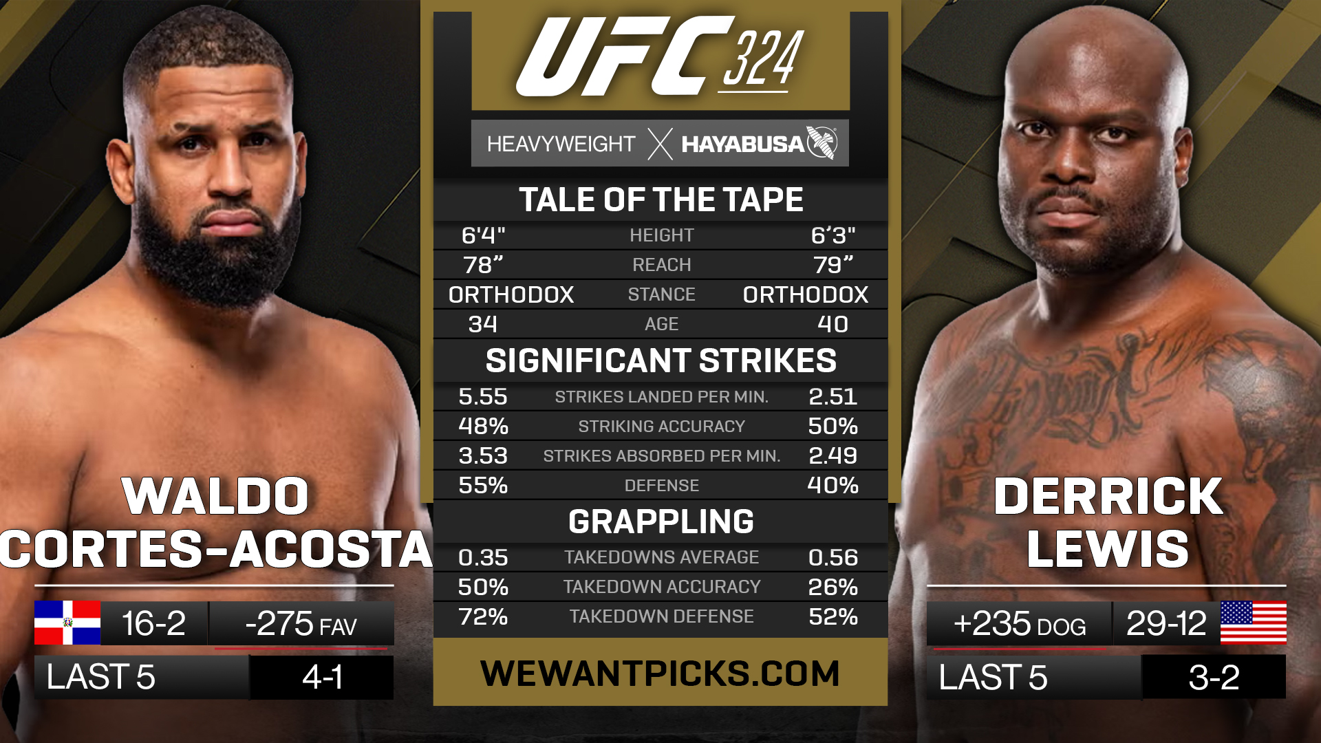 CORTES-ACOSTA VS LEWIS